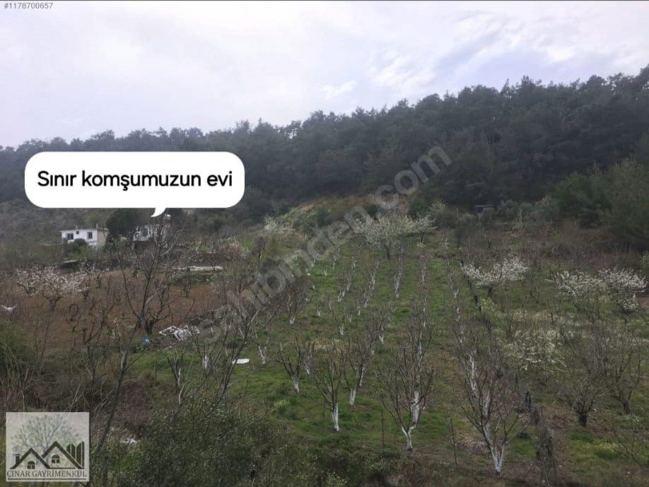 Çınar Gayrimenkul